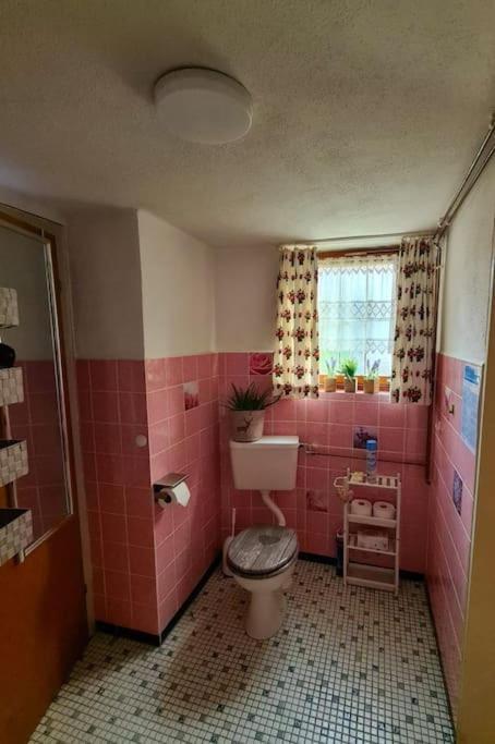 Idyllische Kleine Ferienwohnung Im Schwarzwald Friedenweiler Εξωτερικό φωτογραφία