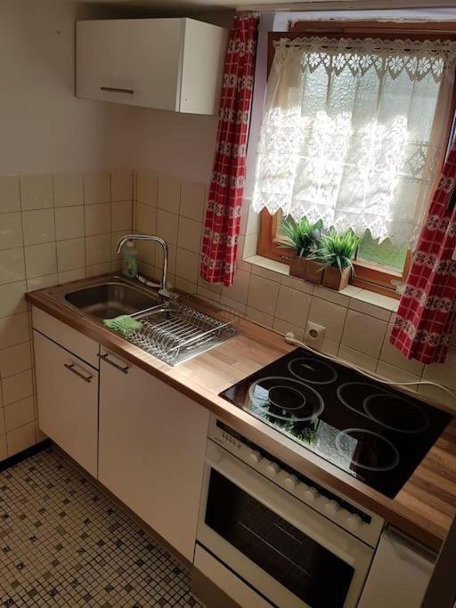 Idyllische Kleine Ferienwohnung Im Schwarzwald Friedenweiler Εξωτερικό φωτογραφία